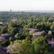 recreational parks in Joburg