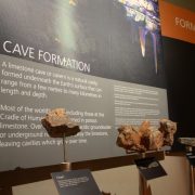 Cradle of Humankind